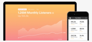Do Spotify Analytics Look Like