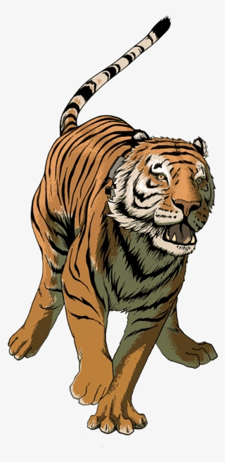 Uporny Dashing From The Truck - Siberian Tiger