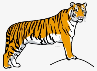 Tiiger Clipart Tiger Run - Tiger Clipart