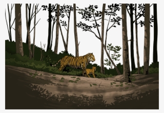 Tigers Walking Through The Forest - Siberian Tiger
