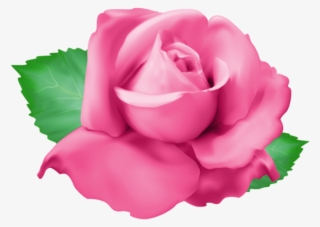 Free Png Download Pink Rose Png Png Images Background - Portable Network Graphics