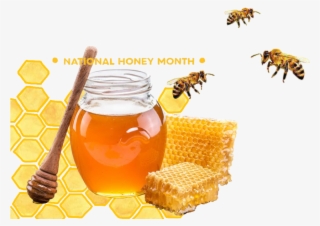 Honeycomb Nationalhoneymonth Honey Bee - Honeybee