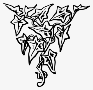 Line Art Drawing Decorative Arts Black And White - Clip Art