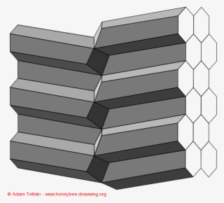Honey Bee Comb - Book