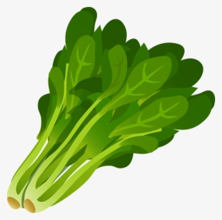 Clipart Of Vegetable, Vegetab E And Seaweed Long