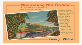 Discovering Old Florida - Tree