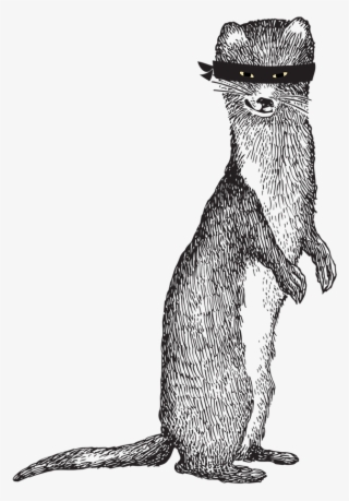 Sneaky Weasel - Punxsutawney Phil