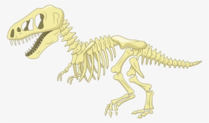 Image Transparent Library Bone Cartoon Clip Art Fossil - Cartoon Dinosaur Skeleton