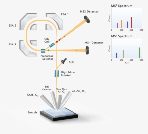 Phi Webinar Series - Diagram