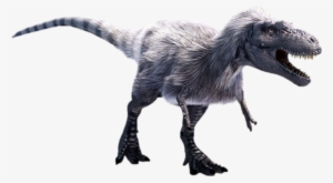 Bone-shattering Teeth - Dinosaurs Top Of The Food Chain