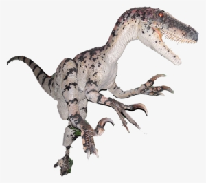 Branson Dinosaur Museum - Velociraptor