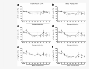 Eae Animals Walk Slower And With Short Footsteps (stride - Diagram