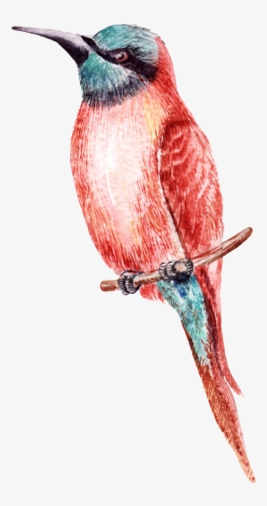 A Transparent Material Png Looking For A Distant Bird - Bird