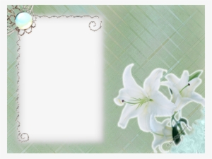 White Flower Frame Png Transparent - White Flower Frames Png