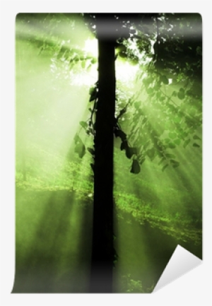 Scout Squad: Going Native