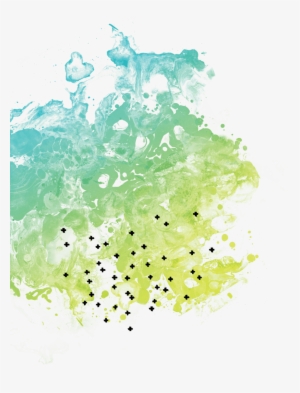 Signature Series - Illustration