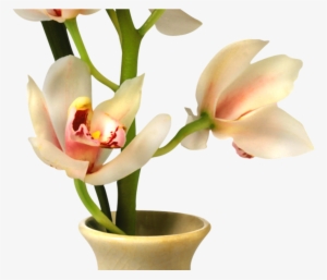 19 Flowers In Vase Png Library Download Huge Freebie - Florero Png