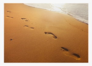 Beach, Wave And Footsteps At Sunset Time Poster • Pixers® - Footprint