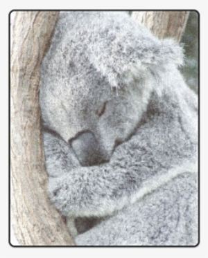 Sleeping Koala Blanket 40"x50" - Sleeping Koala Shower Curtain - 71" By 74"