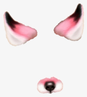 #filter #fox #pink #snow - Instagram