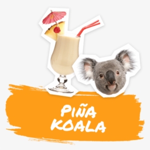 Pina Koala - Wild Dining Kyle Koala Side Plate White