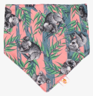 Koala Adventure Koala Adventure - Koala