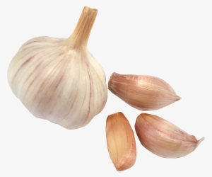 Garlic Png - Garlic Cloves Png