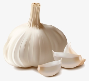Garlic Png
