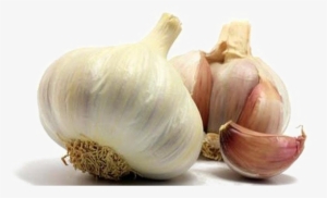 Garlic Png Photo - Garlic Images Hd Png