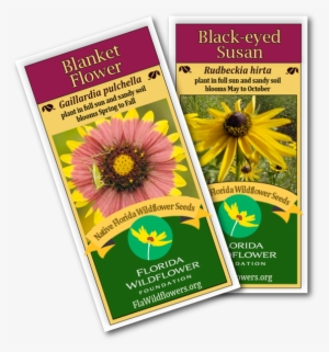 Florida Native Flowers