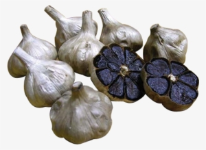 Image Is Not Available - Elephant Garlic