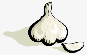 Garlic Plant Vegetable Food Veggie Plantae - Clipart Garlic