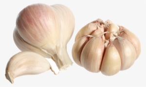 Garlic Png