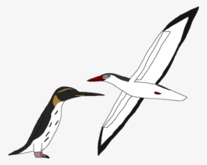 Ocean Birds Png Picture - Portable Network Graphics