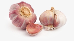 Purple Garlic - Purple Garlic Png