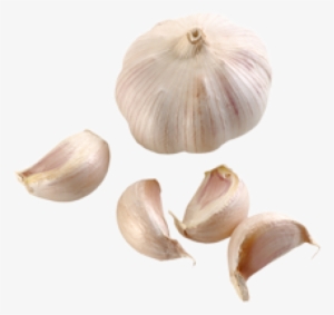 Garlic Free Png Image Download - Garlic