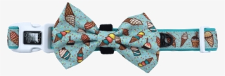 Dog Collar & Bow Tie - Paisley