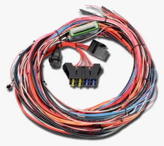 Universal Programmable Ems-4 - Aem Ems 4