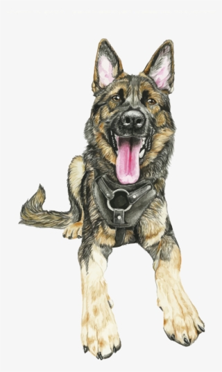 German Shepherd Vector - German Shepherd