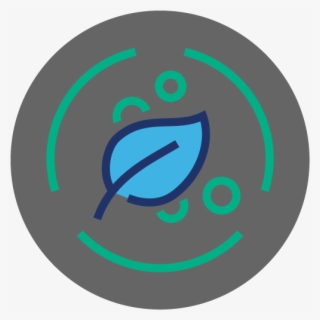 Review Of Environmental Factors - Quotes