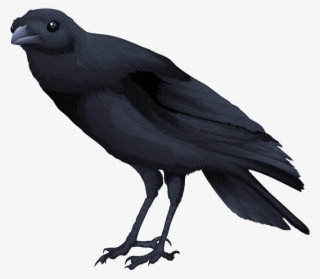 Free Png Download Birds Png Images Background Png Images - Transparent Background Raven Gif