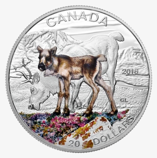 Pure Silver Coloured Coin Baby Animals - Roe Deer