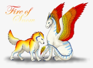 Dragonpack Images Dragon Wolf Pictures Hd Wallpaper - Dragon Wolf Transparent Png
