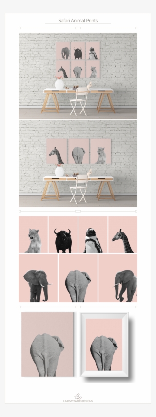 I Photographed The Animals While On Safari In South - Chair