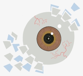 Human Eye Proteome Map - Circle