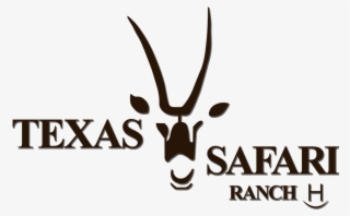 Host Your Eventbook Your Stay - Deer