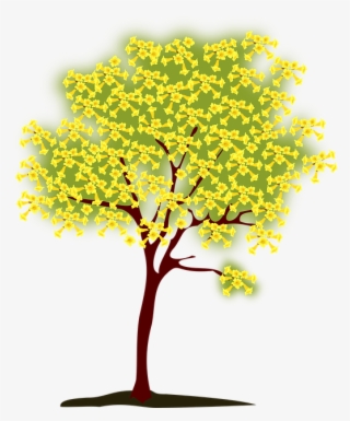 Tree, Blossoming, Yellow, Nature, Spring - Yellow Tree Clip Art