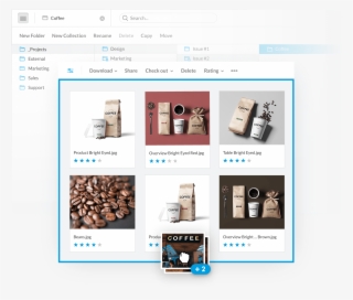 What Is Digital Asset Management - Digital Asset Management Elvis