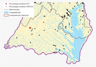 Anadromous Fish Chesapeake Bay