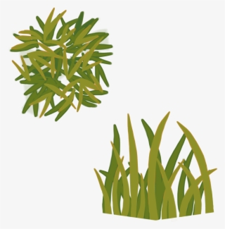 Grass Texture